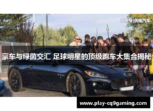 豪车与绿茵交汇 足球明星的顶级跑车大集合揭秘