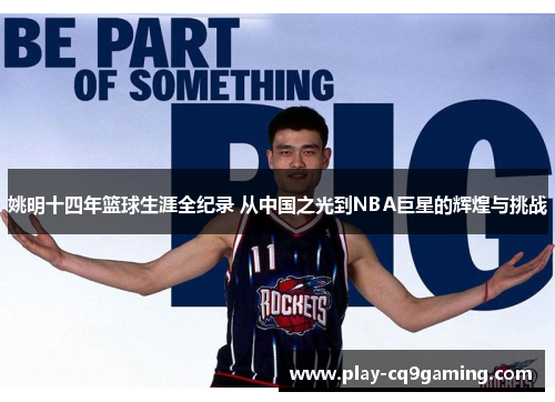 姚明十四年篮球生涯全纪录 从中国之光到NBA巨星的辉煌与挑战