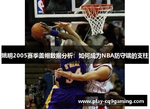 姚明2005赛季盖帽数据分析：如何成为NBA防守端的支柱