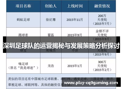 深圳足球队的运营揭秘与发展策略分析探讨