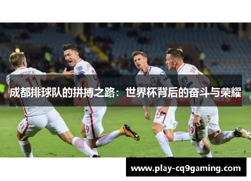 成都排球队的拼搏之路：世界杯背后的奋斗与荣耀