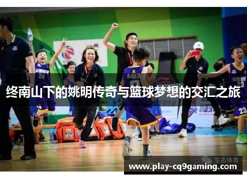 终南山下的姚明传奇与篮球梦想的交汇之旅
